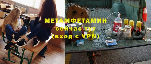 молекула духа Ладушкин